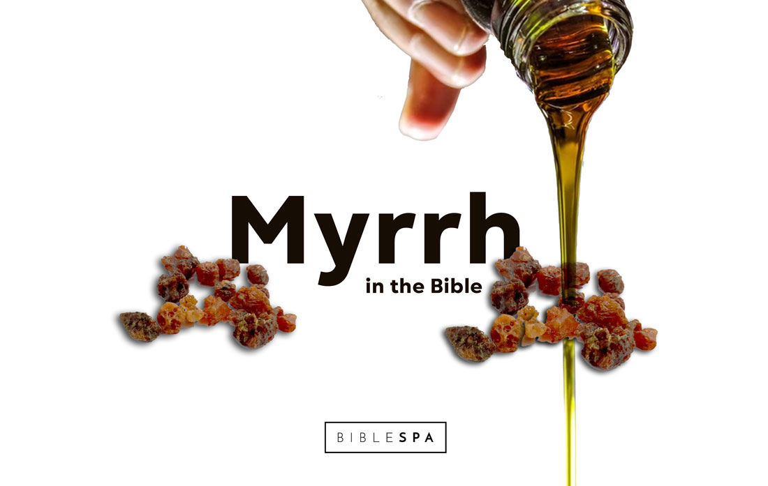 Myrrh in the Bible – beauty guide
